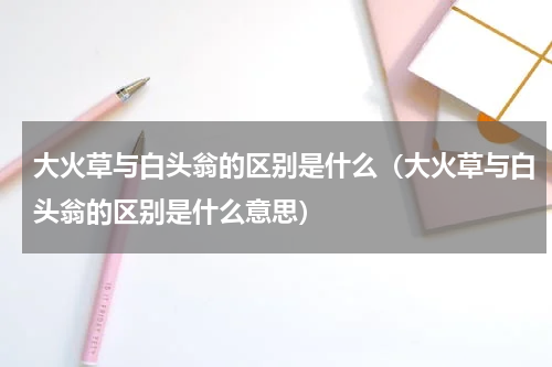 大火草与白头翁的区别是什么（大火草与白头翁的区别是什么意思）