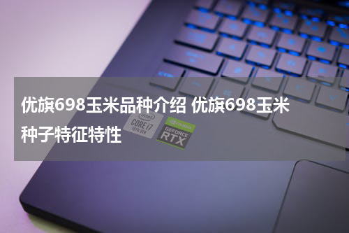 优旗698玉米品种介绍 优旗698玉米种子特征特性