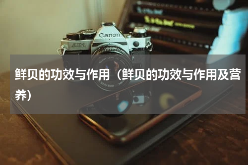 鲜贝的功效与作用（鲜贝的功效与作用及营养）