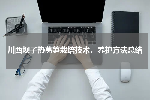 川西坝子热莴笋栽培技术，养护方法总结