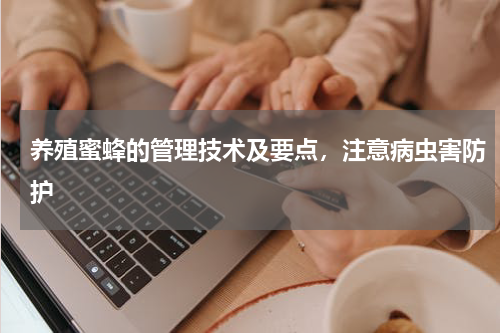 养殖蜜蜂的管理技术及要点，注意病虫害防护