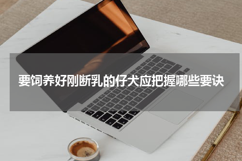 要饲养好刚断乳的仔犬应把握哪些要诀