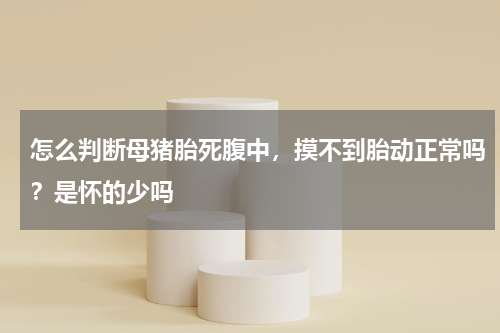 怎么判断母猪胎死腹中，摸不到胎动正常吗？是怀的少吗