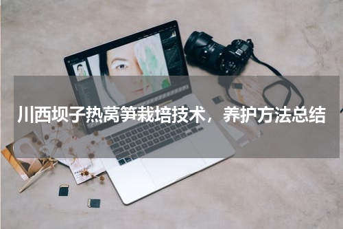 川西坝子热莴笋栽培技术，养护方法总结