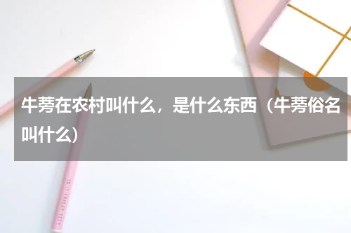 牛蒡在农村叫什么，是什么东西（牛蒡俗名叫什么）