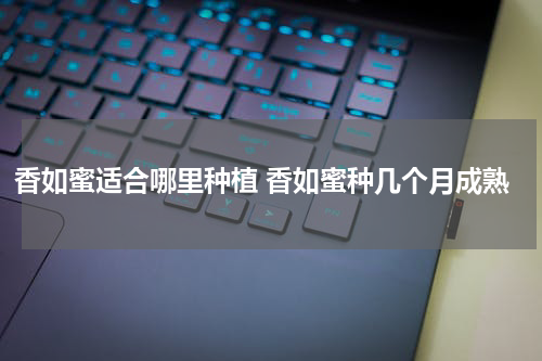 香如蜜适合哪里种植 香如蜜种几个月成熟