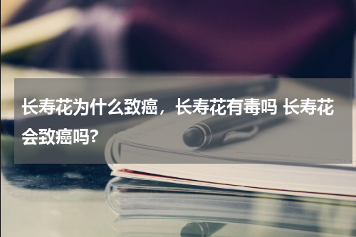 长寿花为什么致癌，长寿花有毒吗 长寿花会致癌吗?