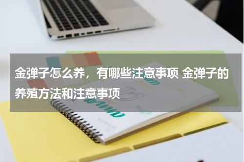 金弹子怎么养，有哪些注意事项 金弹子的养殖方法和注意事项