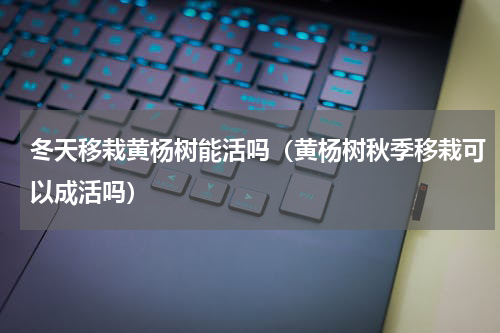 冬天移栽黄杨树能活吗（黄杨树秋季移栽可以成活吗）
