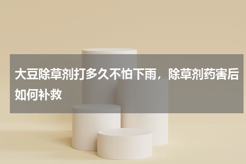 大豆除草剂打多久不怕下雨，除草剂药害后如何补救