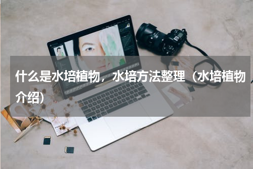 什么是水培植物，水培方法整理（水培植物介绍）