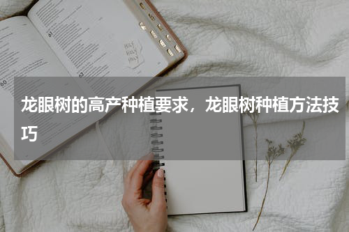 龙眼树的高产种植要求，龙眼树种植方法技巧