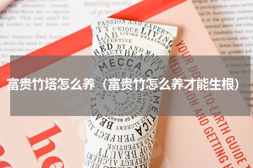 富贵竹塔怎么养（富贵竹怎么养才能生根）