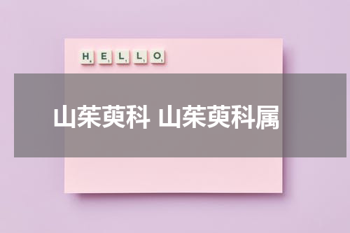 山茱萸科 山茱萸科属