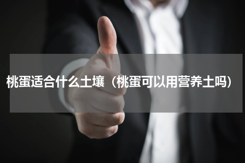 桃蛋适合什么土壤（桃蛋可以用营养土吗）