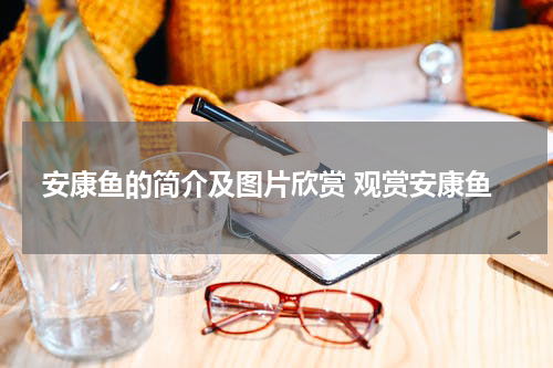 安康鱼的简介及图片欣赏 观赏安康鱼