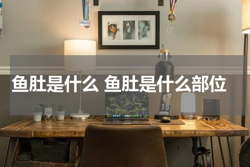 鱼肚是什么 鱼肚是什么部位