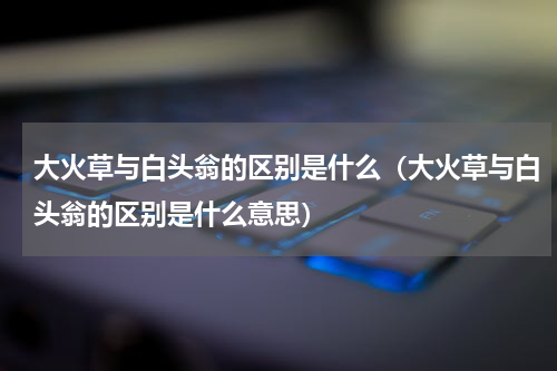 大火草与白头翁的区别是什么（大火草与白头翁的区别是什么意思）