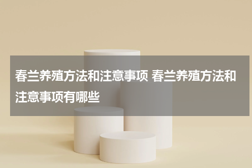春兰养殖方法和注意事项 春兰养殖方法和注意事项有哪些