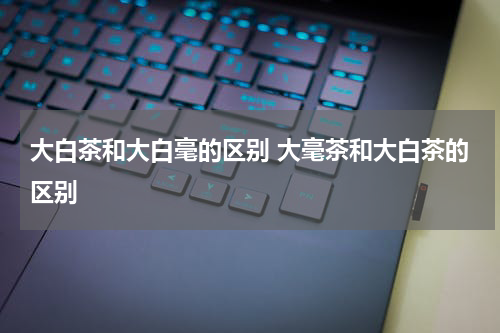 大白茶和大白毫的区别 大毫茶和大白茶的区别