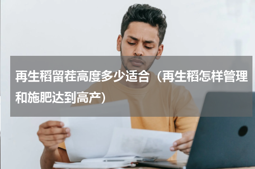 再生稻留茬高度多少适合（再生稻怎样管理和施肥达到高产）