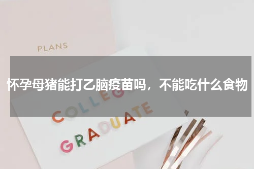 怀孕母猪能打乙脑疫苗吗，不能吃什么食物
