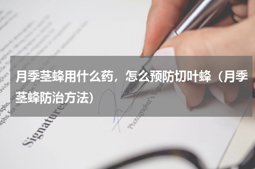 月季茎蜂用什么药，怎么预防切叶蜂（月季茎蜂防治方法）