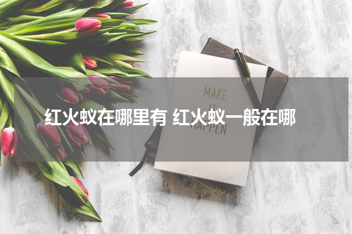 红火蚁在哪里有 红火蚁一般在哪