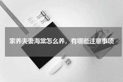家养夫妻海棠怎么养，有哪些注意事项