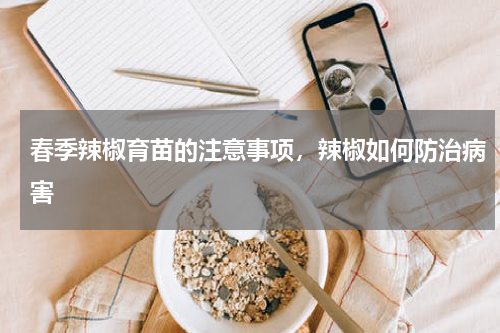春季辣椒育苗的注意事项，辣椒如何防治病害