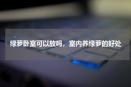 绿萝卧室可以放吗，室内养绿萝的好处