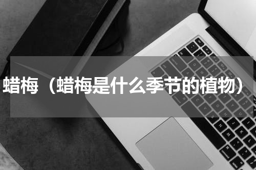 蜡梅（蜡梅是什么季节的植物）