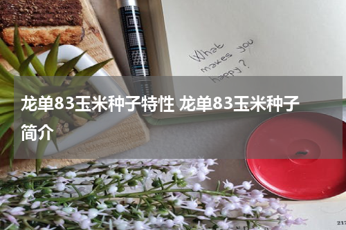龙单83玉米种子特性 龙单83玉米种子简介