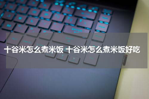 十谷米怎么煮米饭 十谷米怎么煮米饭好吃