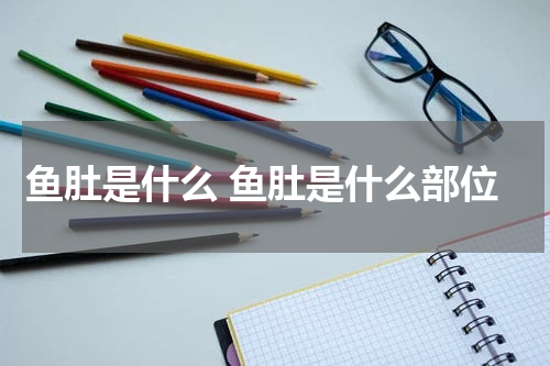 鱼肚是什么 鱼肚是什么部位