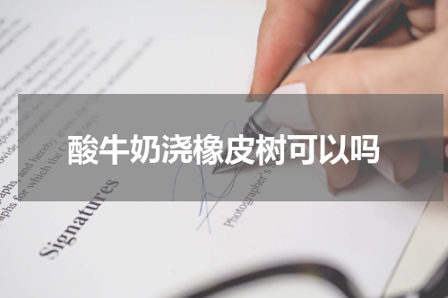 酸牛奶浇橡皮树可以吗