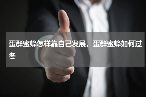 蛋群蜜蜂怎样靠自己发展，蛋群蜜蜂如何过冬