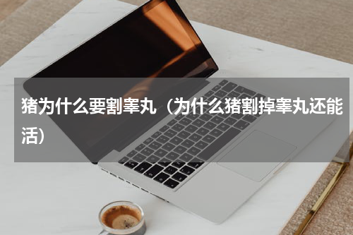 猪为什么要割睾丸（为什么猪割掉睾丸还能活）