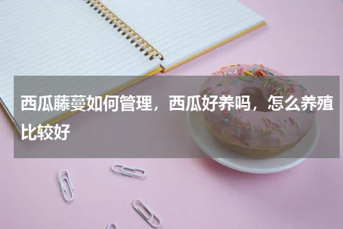 西瓜藤蔓如何管理，西瓜好养吗，怎么养殖比较好