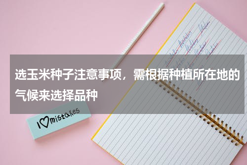 选玉米种子注意事项，需根据种植所在地的气候来选择品种