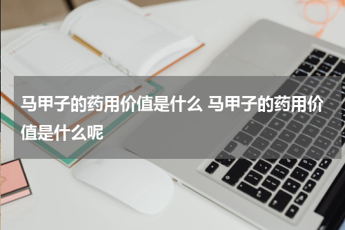 马甲子的药用价值是什么 马甲子的药用价值是什么呢