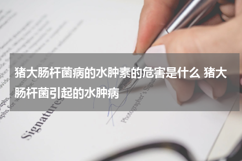 猪大肠杆菌病的水肿素的危害是什么 猪大肠杆菌引起的水肿病
