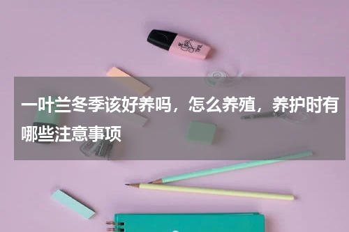 一叶兰冬季该好养吗，怎么养殖，养护时有哪些注意事项