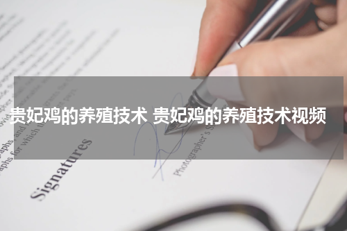 贵妃鸡的养殖技术 贵妃鸡的养殖技术视频