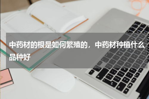 中药材的根是如何繁殖的，中药材种植什么品种好