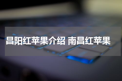 昌阳红苹果介绍 南昌红苹果