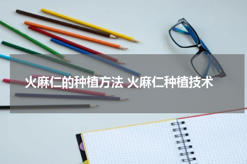 火麻仁的种植方法 火麻仁种植技术