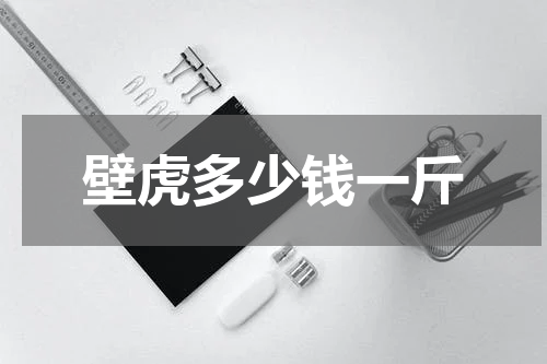 壁虎多少钱一斤
