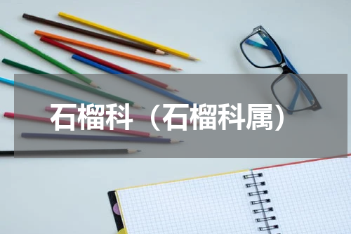 石榴科（石榴科属）