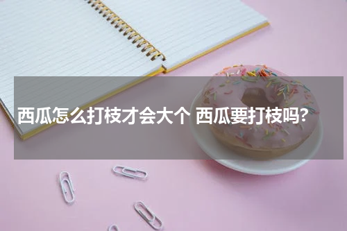 西瓜怎么打枝才会大个 西瓜要打枝吗?